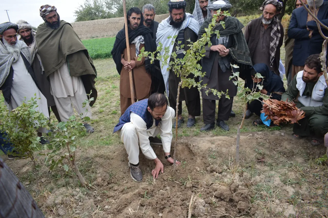 PEARL–ABADEI — Climate-Smart Agriculture Training