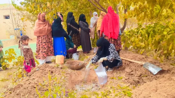 PEARL–ABADEI — Climate-Smart Agriculture Training