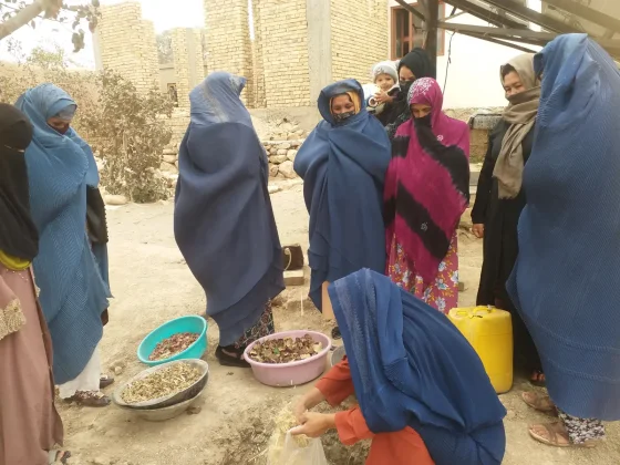 PEARL–ABADEI — Climate-Smart Agriculture Training