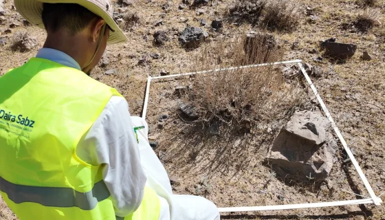 Saba Construction-Stone Mining Project — IEE