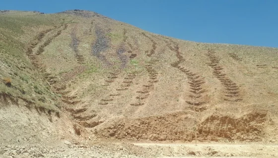FREESIA Forest Restoration Project — End-Term Review