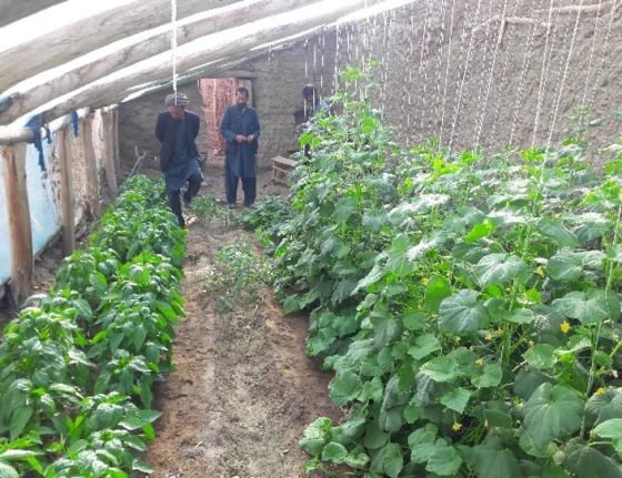 FREESIA Forest Restoration Project — End-Term Review