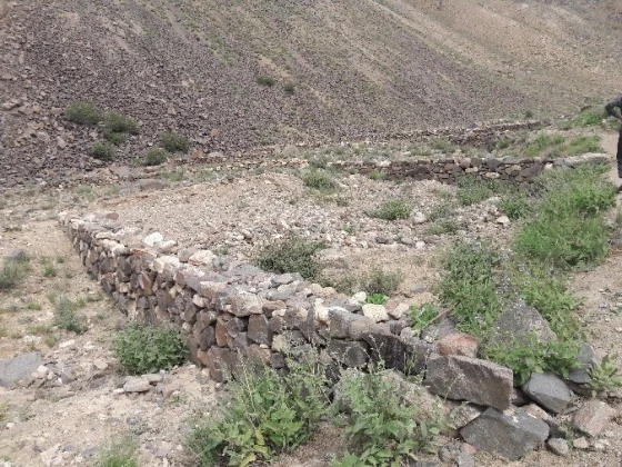 FREESIA Forest Restoration Project — End-Term Review