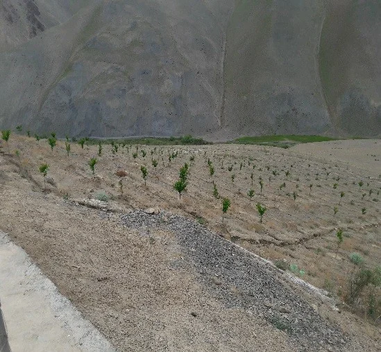 FREESIA Forest Restoration Project — End-Term Review