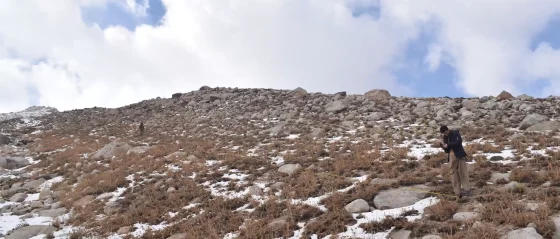 Salang Corridor — Biodiversity Baseline Assessment