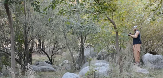 Salang Corridor — Biodiversity Baseline Assessment