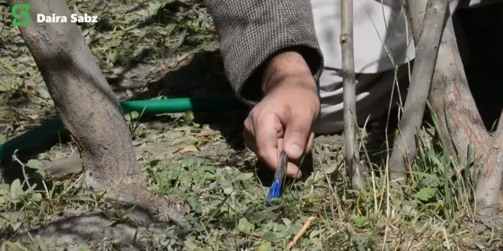Salang Corridor — Biodiversity Baseline Assessment
