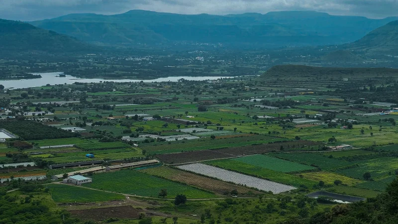 Smart Agriculture for Food Security and Rural Development: Digital and Climate-Smart Solutions