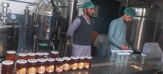 MSME Assessment and Training in South and East Afghanistan