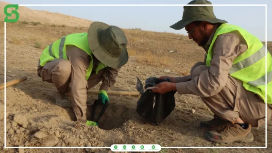 Baghdara Hydropower Project — Environmental and Social Assessment