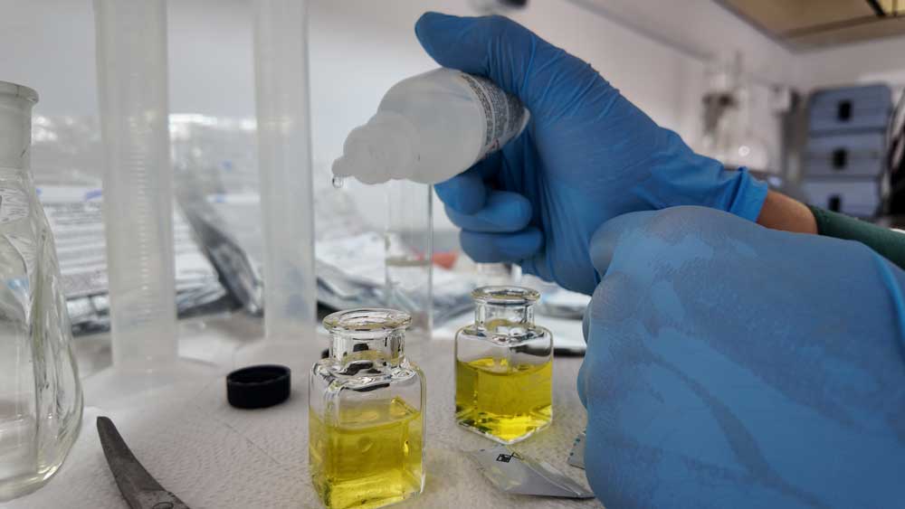 Water Quality Assessment