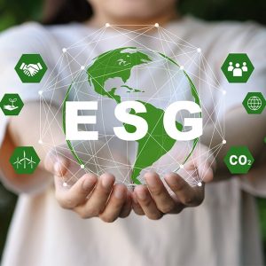 Professional Training on Corporate Sustainability and ESG Reporting